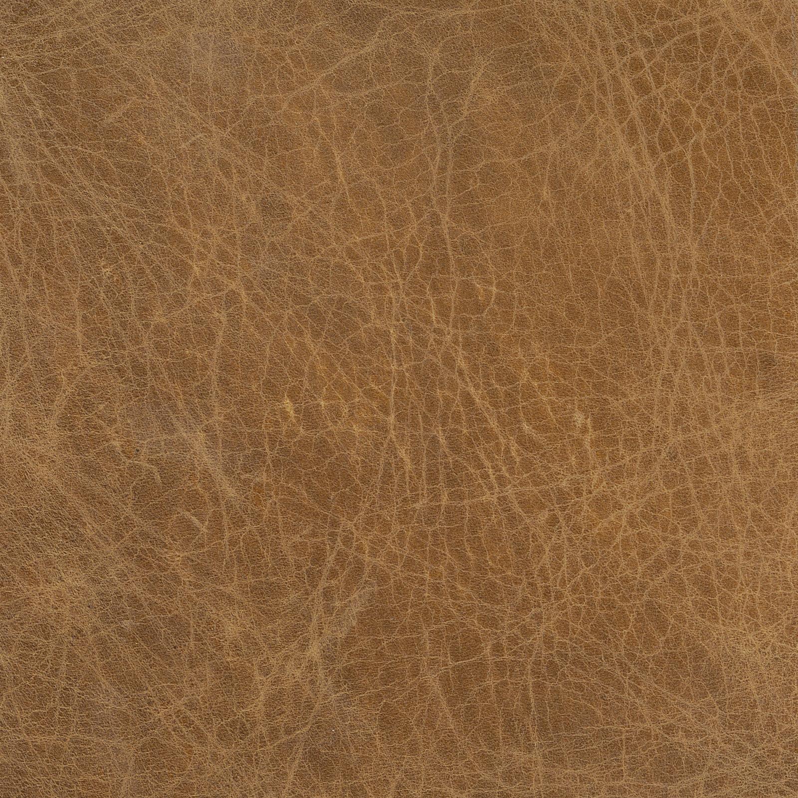 leather-swatch-brown-regina-andrew-detroit